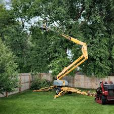 Best Tree Mulching Services  in Scotia, NY